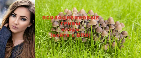 каннабис Алексеевка