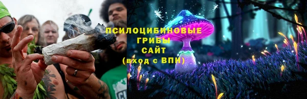 каннабис Алексеевка