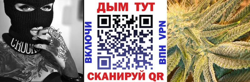 Бошки марихуана конопля Лахденпохья